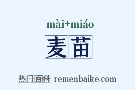 麦苗是什么意思的图片